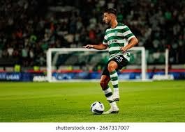 数学轶事：解析“希尔伯特”对数学基础的追求及其对随机性的数学公理化。（数学趣闻：希尔伯特的基础计划与随机性的公理化之路）